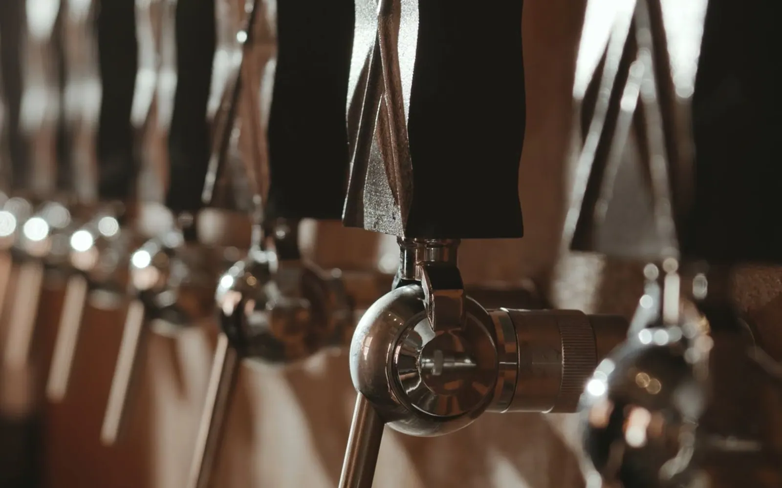 Brewpub taps beside plated food during service